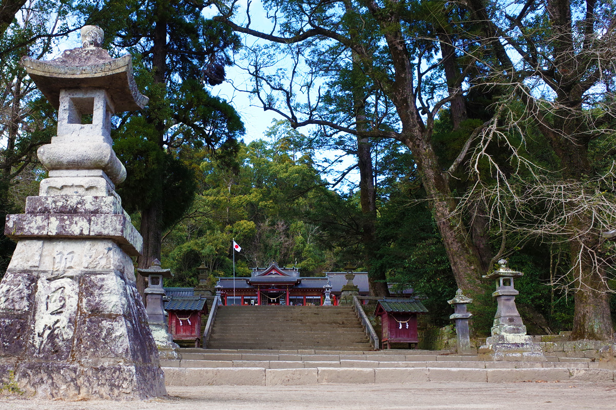 蒲生八幡神社内の階段「蒲生の大クス」/姶良市蒲生