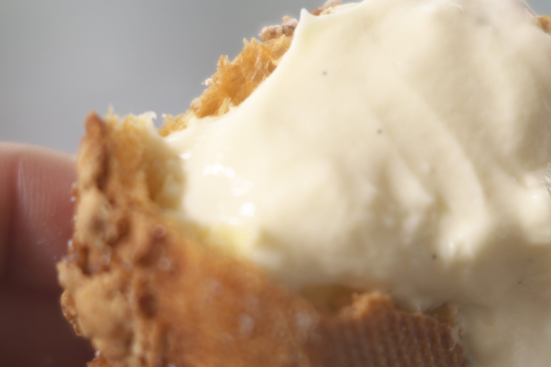 走る鶏のシュークリーム・カスタードクリーム「お多福たまご」鹿児島県姶良郡湧水町