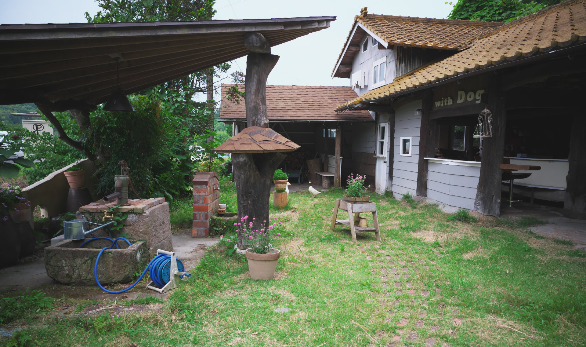 庭と屋外ドッグカフェ「coha cafe （コハカフェ）」鹿児島県姶良市